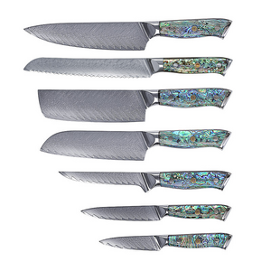 Yangjiang knives set 67 layers damascus steel knives professional VG10 knife damascus with conch resin handle