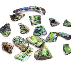 Extra Large Abalone Paua Shell Pieces for Jewelry Making