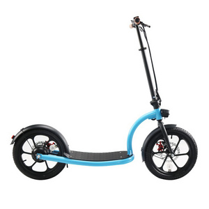 Factory New Type 16 inch big wheel electric scooter 48V 750w electric scooter for adult