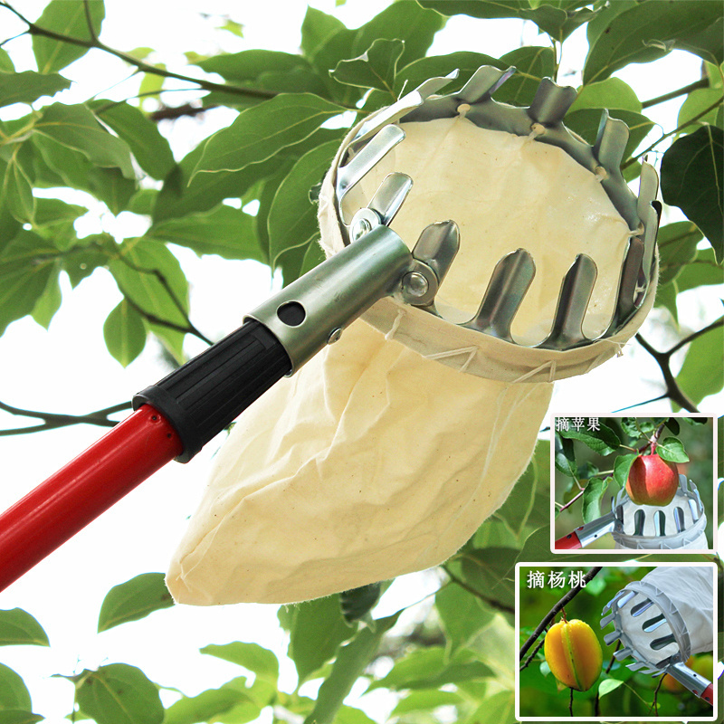 Lightweight Telescopic Extending Apple & Fruit Picker Twist and Lock Pick Hand Tool