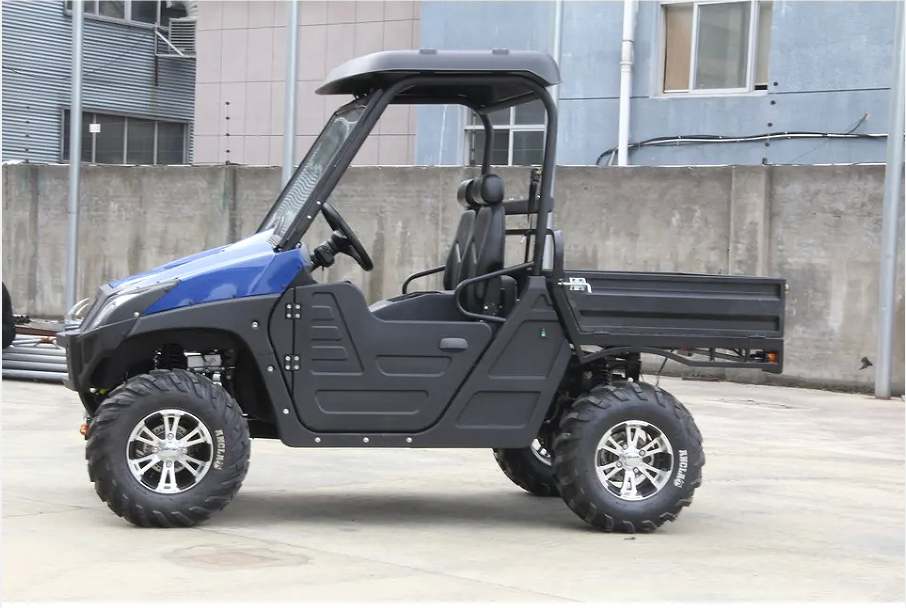 2024 New 2 Seater Dune Buggy 72V 80Ah 120Ah 150Ah Electric UTV 4WD