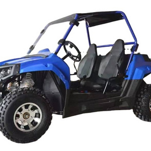 2024 Hot Cheap 200CC adults dune buggy UTV with CE jeep utv 300cc atv/utv parts accessories