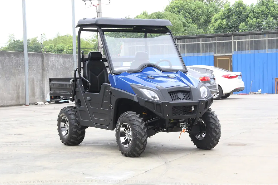 2024 New 2 Seater Dune Buggy 72V 80Ah 120Ah 150Ah Electric UTV 4WD