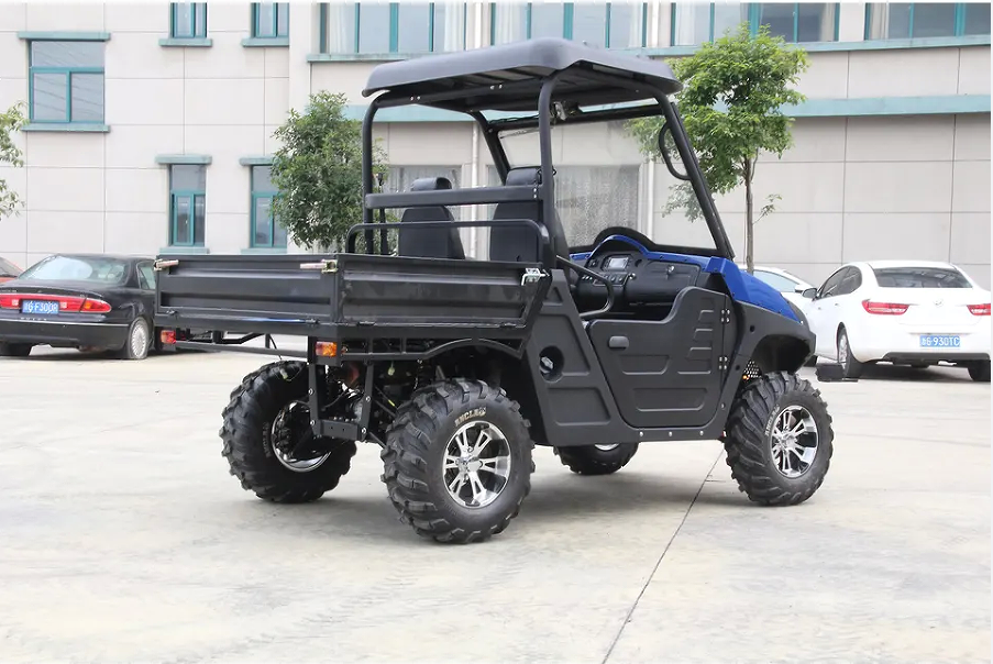 2024 New 2 Seater Dune Buggy 72V 80Ah 120Ah 150Ah Electric UTV 4WD