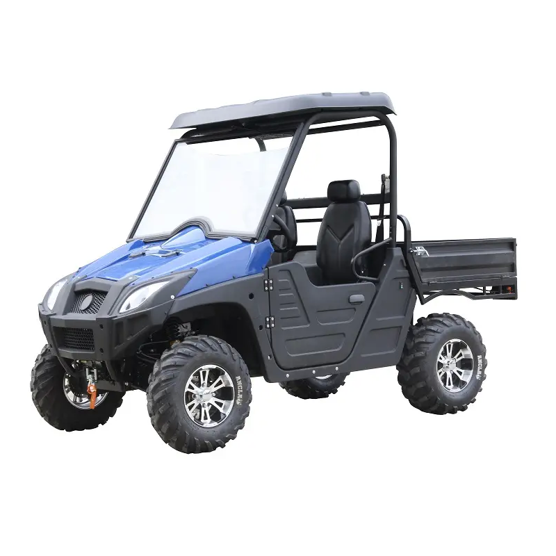 2024 New 2 Seater Dune Buggy 72V 80Ah 120Ah 150Ah Electric UTV 4WD