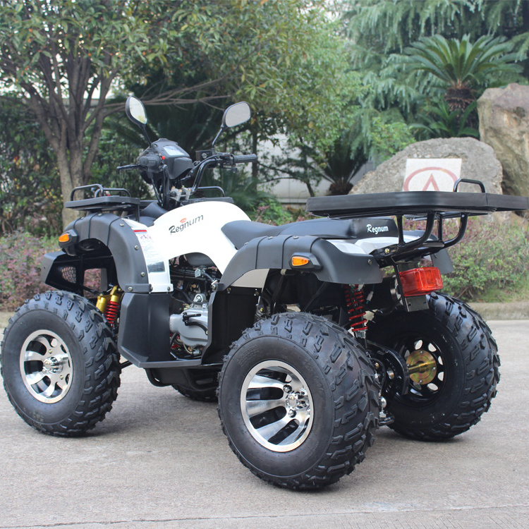 GY6 China ATV Electric Start 4 Stroke Mini ATV Quad Bike 150CC 200CC ATV