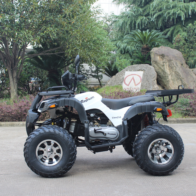 GY6 China ATV Electric Start 4 Stroke Mini ATV Quad Bike 150CC 200CC ATV