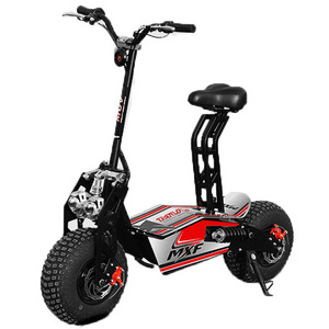 16inch off road electric motorcycle folding electric scooter for adults 1600W 2000W QUAD BIKE