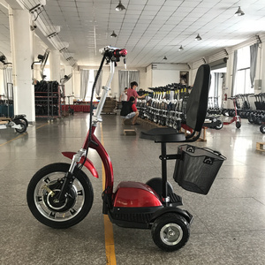 Adults 48V 500W/800W Zappy 3 Wheel Electric Scooter with Children Seat