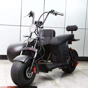 Three Wheel 1500W 2000W 3000W Electric Trike Motorcycle With Sidecar And Can Take Pets Electric Tricycles Citycoco