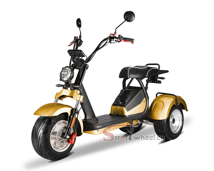 2022 New design and Popular 60V 4000W Electric Tricycle for adults BIg Power Motorized Tricycles drift trike