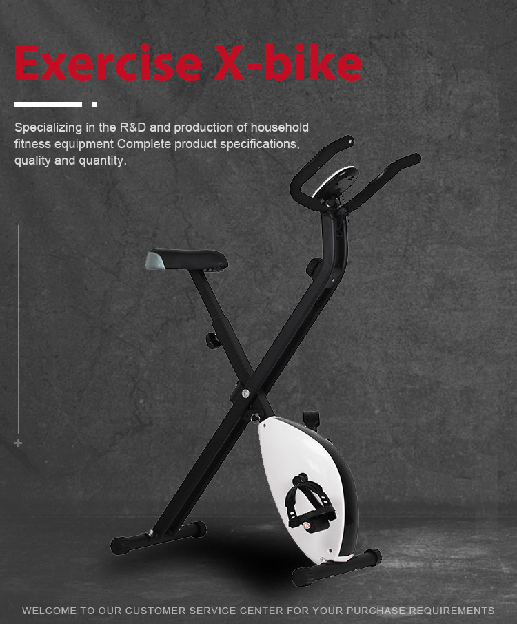 Dynamic Bicycle Home Upright Exercise Bike for Health  Fitness Equipment Muscle Building