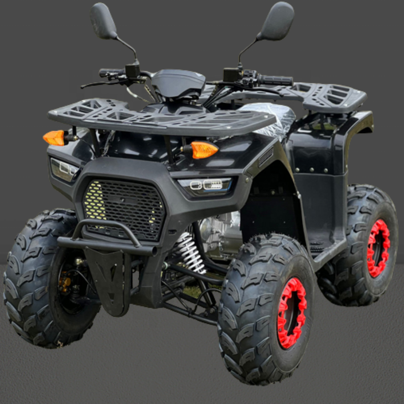 125cc Quad Bike ATV Motorcycle for Experienced Riders