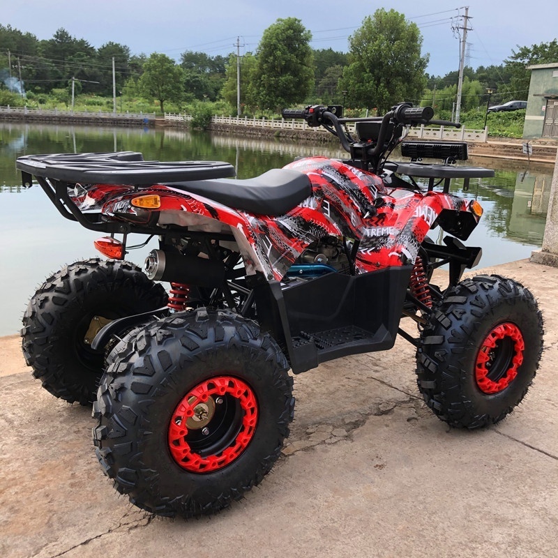 A High Performance High Quality 4 Wheeler Quad Bike Atv For Kids and Adult 125cc ATV