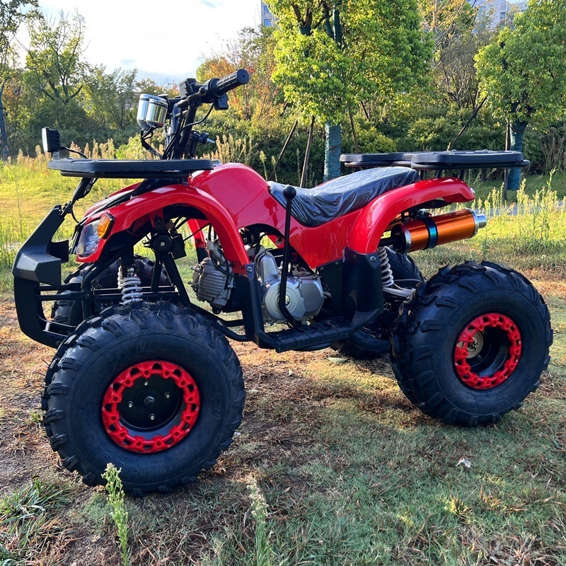 125cc Quad bike 4 Wheeler Off Road ATV With CE