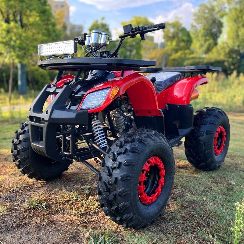 125cc Quad bike 4 Wheeler Off Road ATV With CE