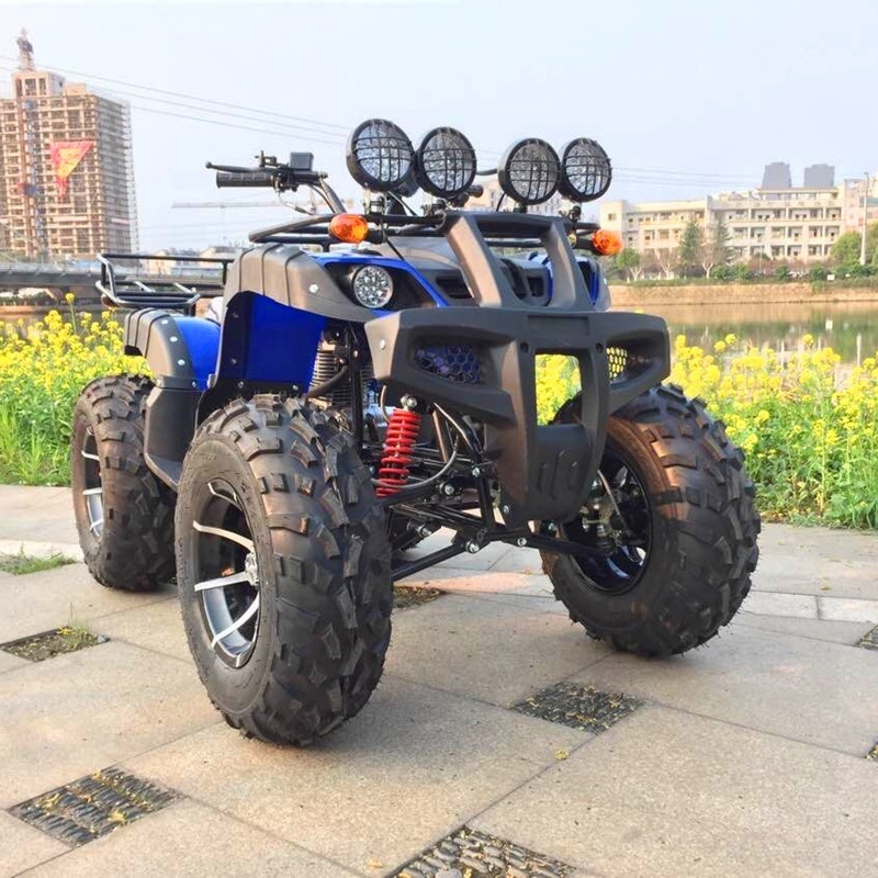 Chinese 250CC Electric Start Road Personalized Manual Quad Bike ATV