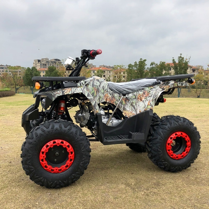 A High Performance high quality 4 Wheeler Quad Bike Atv For Kids and Adult