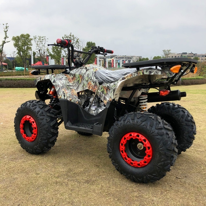 A High Performance high quality 4 Wheeler Quad Bike Atv For Kids and Adult