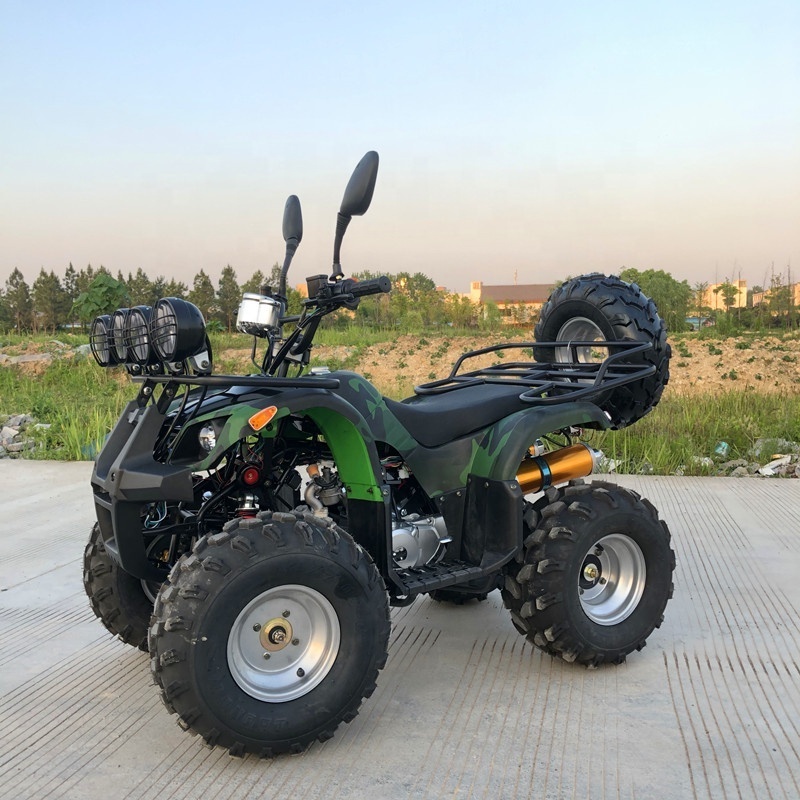 110CC 125CC Quad ATV for Adult With CE Approved ATV