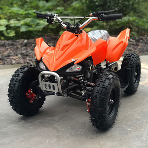 2 Stroke 50cc Mini Moto Quad Bike ATV for kids