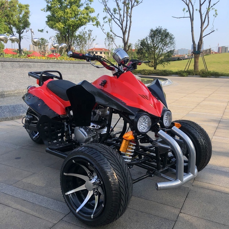 3 Wheel Adult Motorcycle Multi-Function ATV 250cc