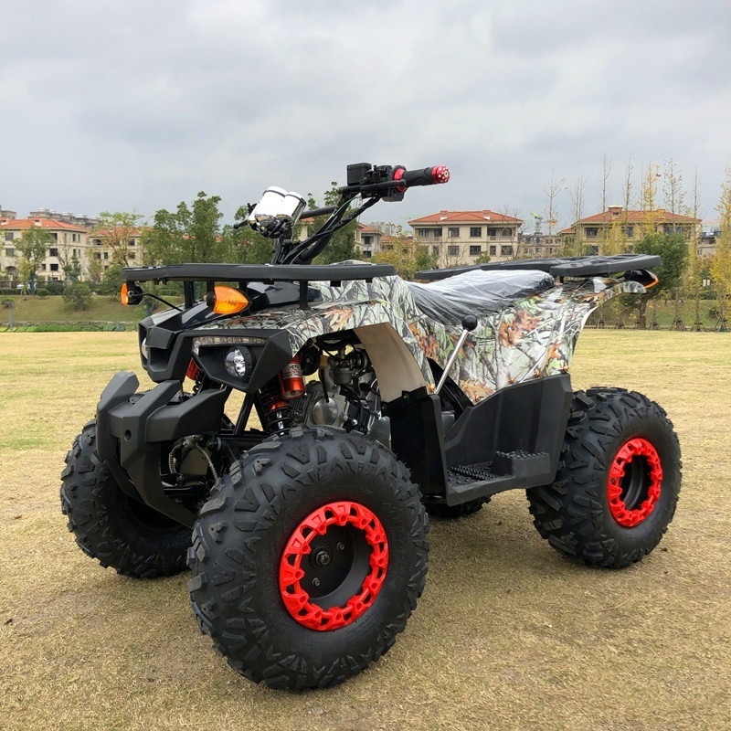 A High Performance high quality 4 Wheeler Quad Bike Atv For Kids and Adult