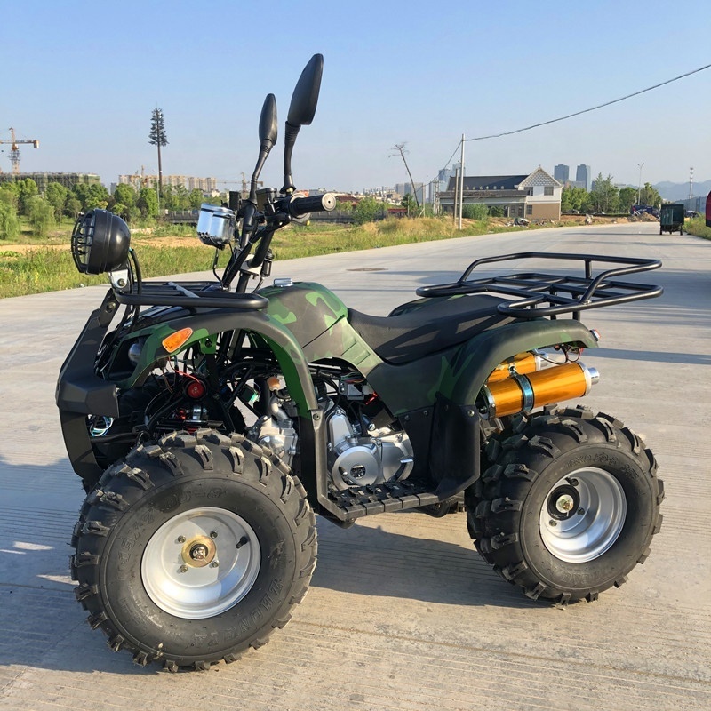 110CC 125CC Quad ATV for Adult With CE Approved ATV