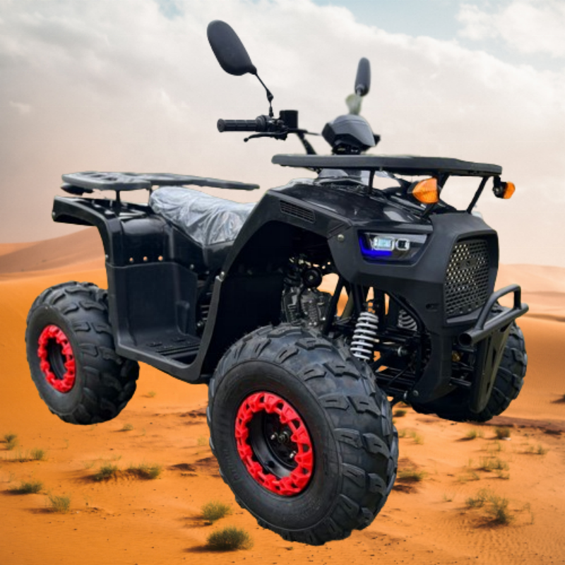 125cc Quad Bike ATV Motorcycle for Experienced Riders