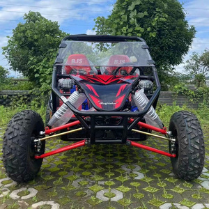 Dune Buggy 200cc Off-Road Kart Tube Car ATV UTV Adult Mountain All Terrain Independent Rocker Arm F1 Racing