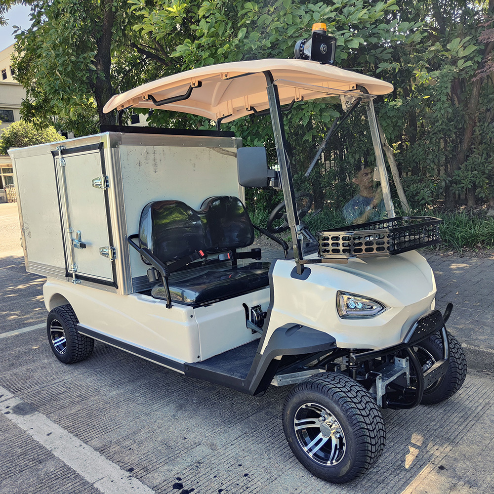 food supply or housekeeping 300cc 2 Seater gas powered golf cart with stainless steel cargo box or aluminum cargo box