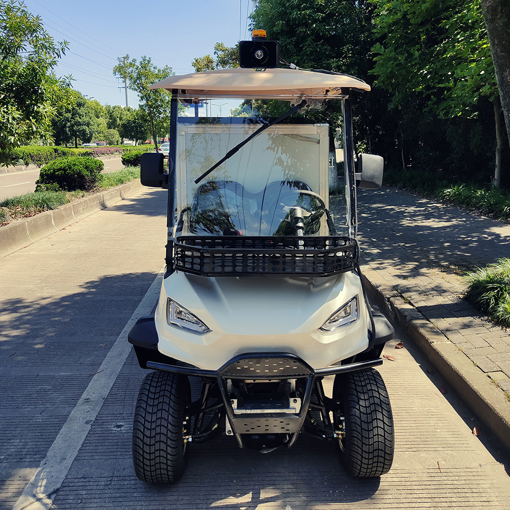 food supply or housekeeping 300cc 2 Seater gas powered golf cart with stainless steel cargo box or aluminum cargo box