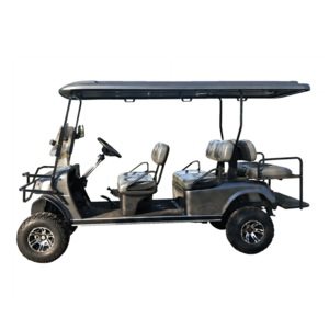 EPA certified 6 seat 4 wheel gas golf cart with 10  inch off road vacuum tires and gasoline engine