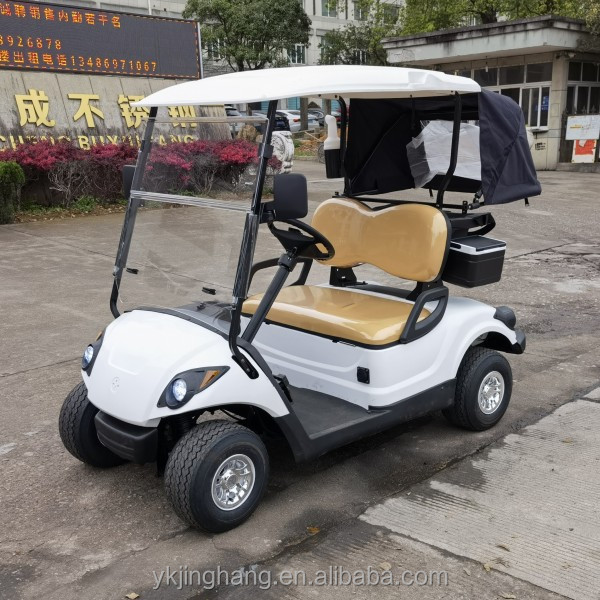 Electric go kart for adults two seater Sightseeing golf car mini hunting