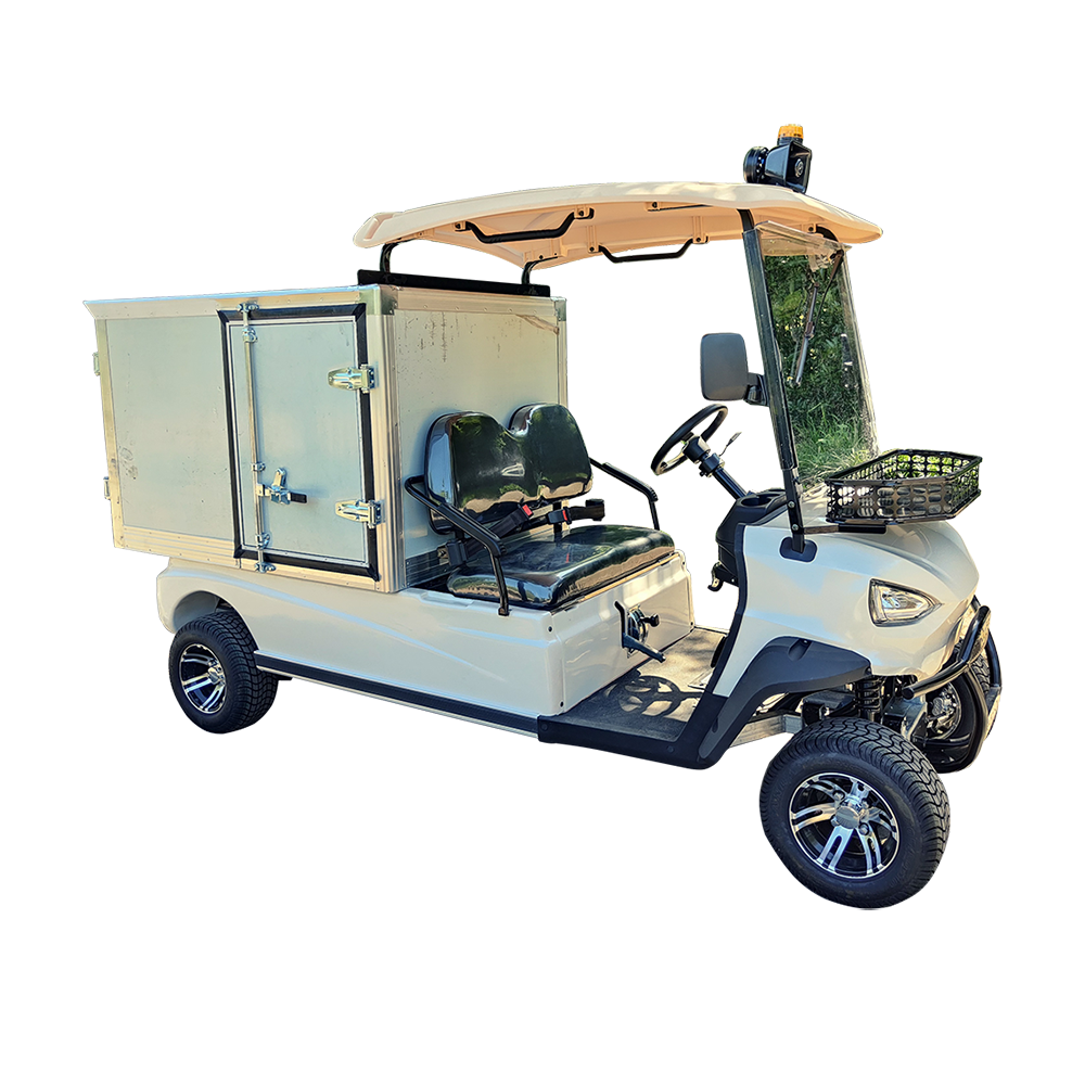 food supply or housekeeping 300cc 2 Seater gas powered golf cart with stainless steel cargo box or aluminum cargo box