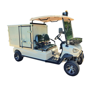 food supply or housekeeping 300cc 2 Seater gas powered golf cart with stainless steel cargo box or aluminum cargo box