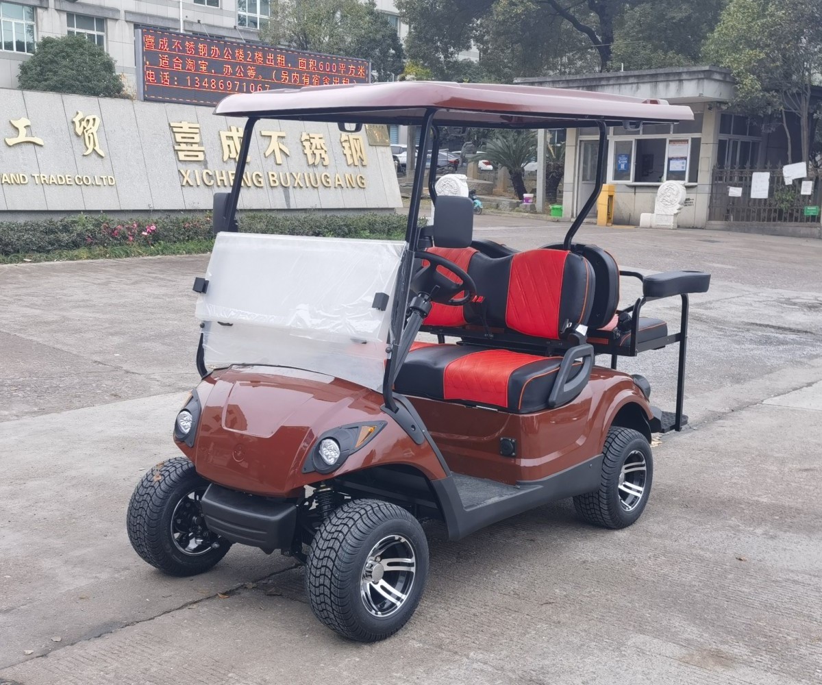 4 seater gasoline or electric powered golf dune buggy with luxury seater