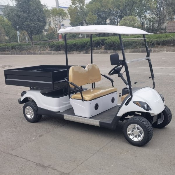 utility buggy used golf cart