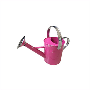 Mini can of water gardening watering sprayer watering can bulk