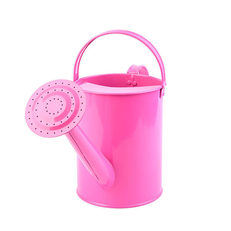 Mini can of water gardening watering sprayer watering can bulk