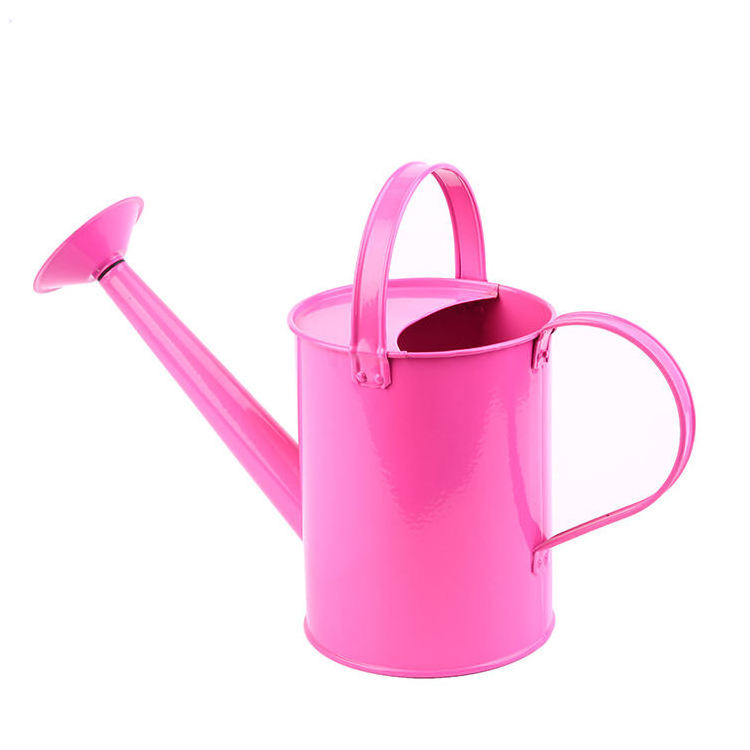 Mini can of water gardening watering sprayer watering can bulk