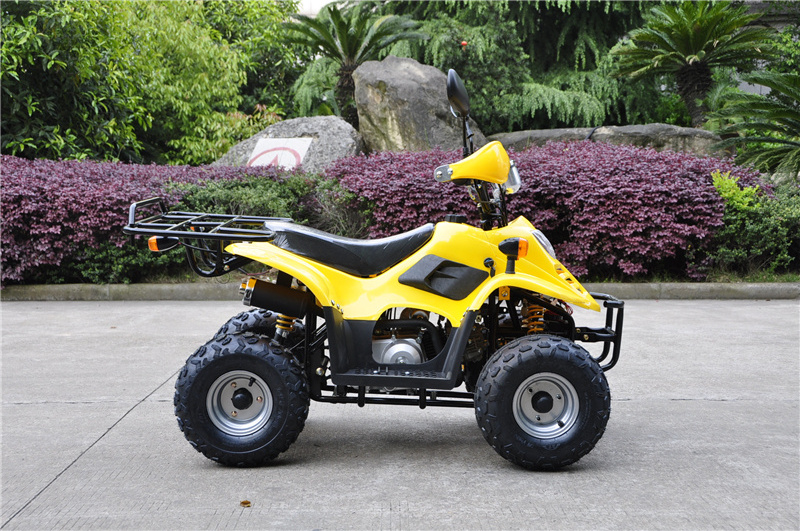 mini 50cc gas atv 4 Wheel  trike For kids