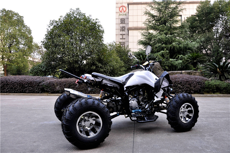 CE 300cc 4 stroke ADULT ATV  gas four wheeler