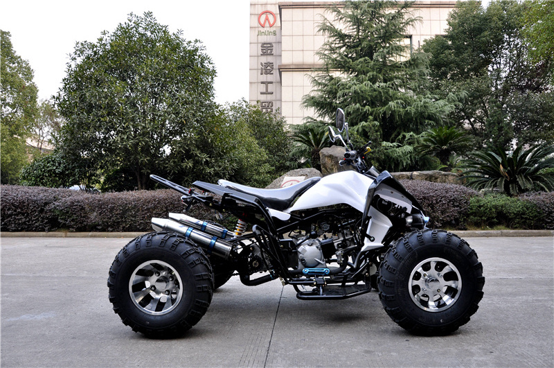 CE 300cc 4 stroke ADULT ATV  gas four wheeler