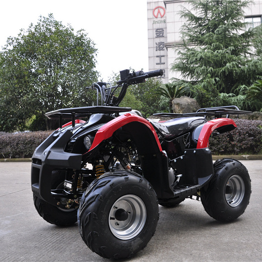 Jinling China 110cc/125cc Automatic transmission kids atv gas 4 wheeler quad for adults atvs