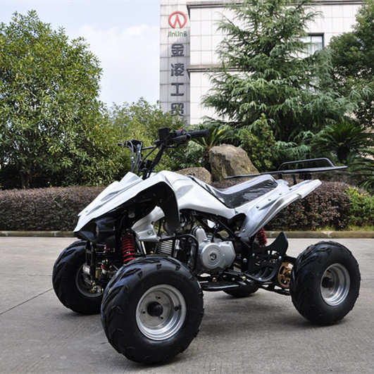 Jinling Cheap High Quality Chinese EPA Atv Quad 110cc Quad Bike Mini Atv Kid Four Wheeler 110cc Atv For USA Market