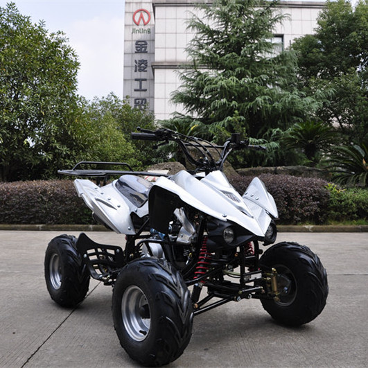 Jinling Cheap High Quality Chinese EPA Atv Quad 110cc Quad Bike Mini Atv Kid Four Wheeler 110cc Atv For USA Market