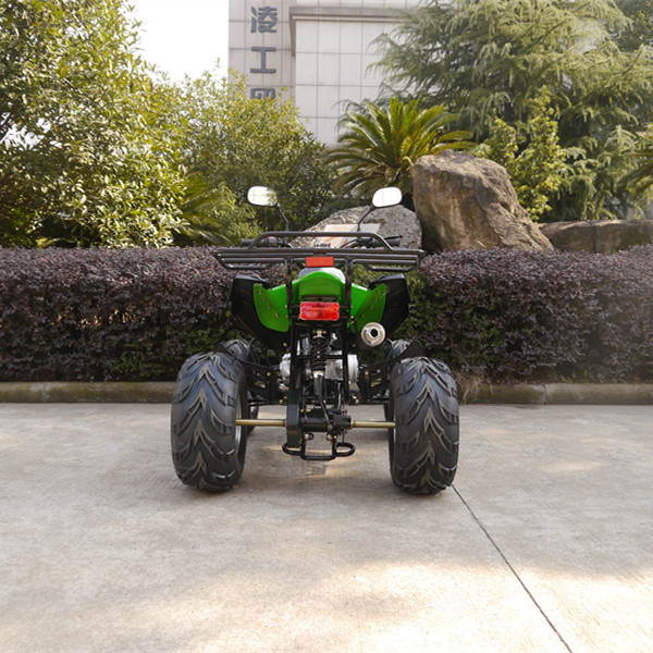 Jinling Cheap High Quality Chinese EPA Atv Quad 110cc Quad Bike Mini Atv Kid Four Wheeler 110cc Atv For USA Market