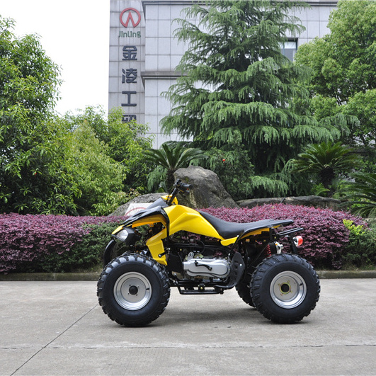 jinling cheap mini 110/125CC automatic reverse gear atvs  quad bike ATV