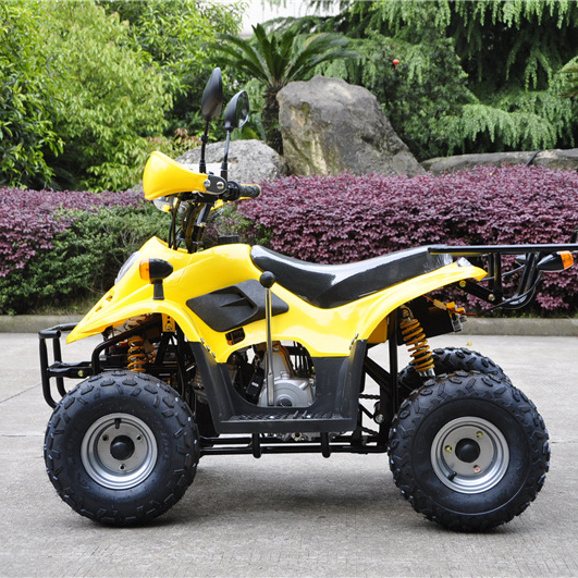 mini 50cc gas atv 4 Wheel  trike For kids